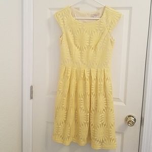 DressBarn Sunflower Dress